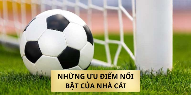 Tổng hợp những ưu điểm nổi bật của nhà cái 